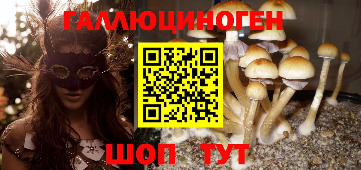 Галлюциногенные грибы ЛСД Советск