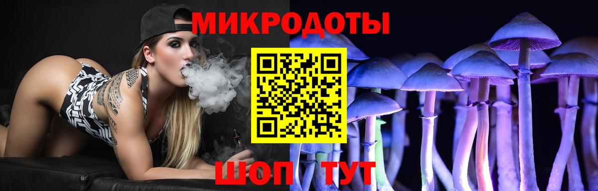 Псилоцибиновые грибы Psilocybe  Вход с VPN  Советск 